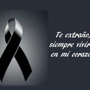 Meet your Posher, Betsy